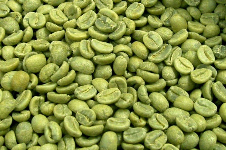 绿咖啡豆可能成为最新的时尚减肥之品